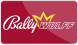 Bally Wulff Software