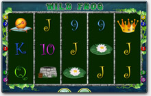 Merkur Spielautomaten - Wild Frog